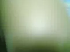Bestia pelirroja org ...