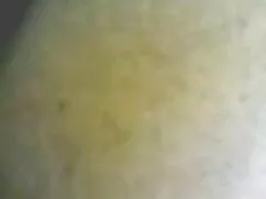 Dos en la videos xxx ...