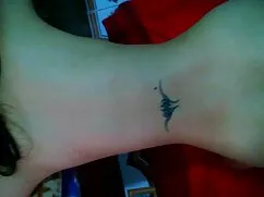 Delicada videos seño ...